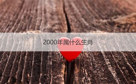 2000年的生肖|2000 年出生属什么生肖